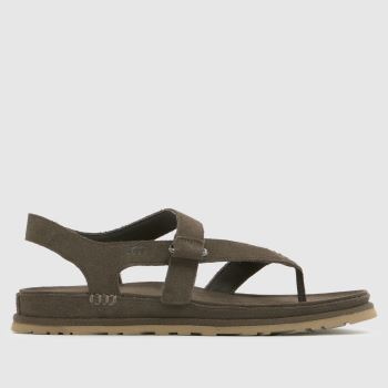 UGG Dense Smoke Goldengaze Toe Post Womens Sandals