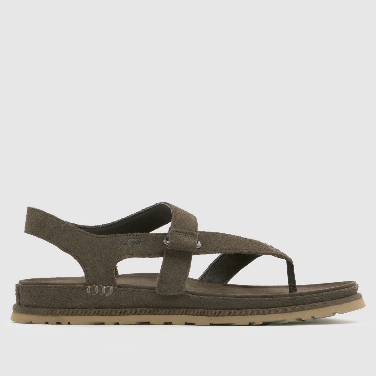 UGG Goldengaze Toe Post Sandals in Dense Smoke