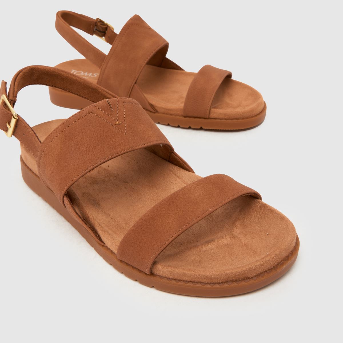 TOMS Marin in Tan TOMS Marin 4