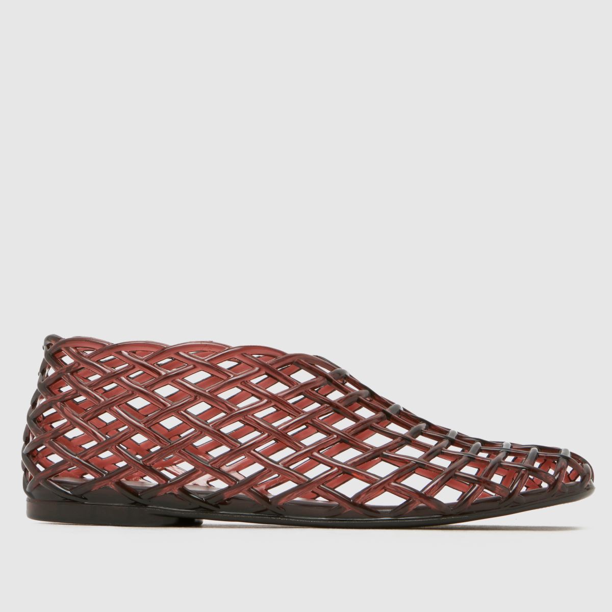 schuh Terrel Jelly 