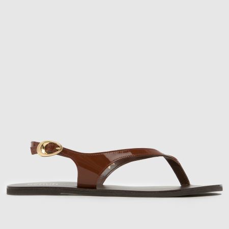 Womens Brown schuh Townsend Toe Post Sandals | schuh