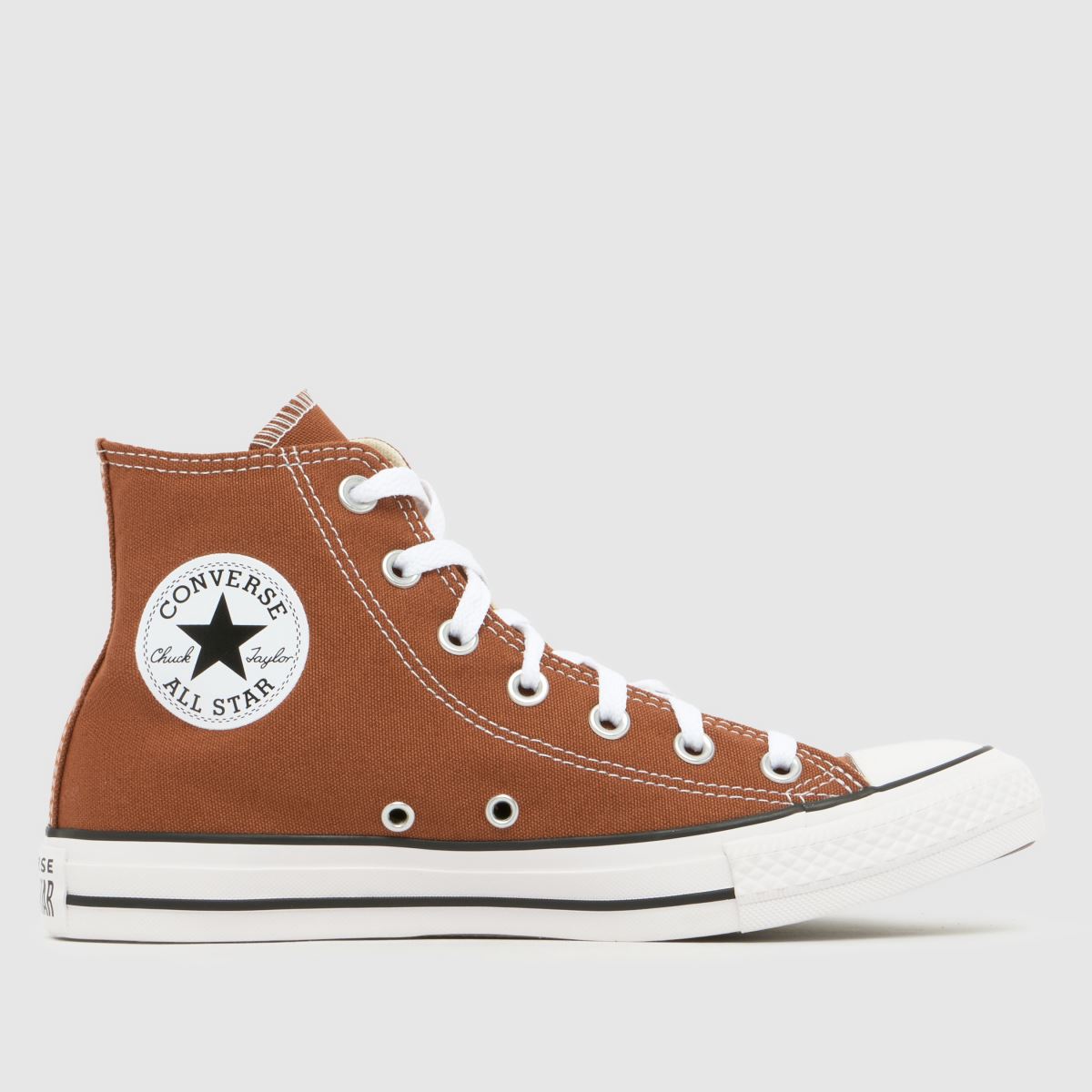 Converse All Star Hi Trainers in Brown & White