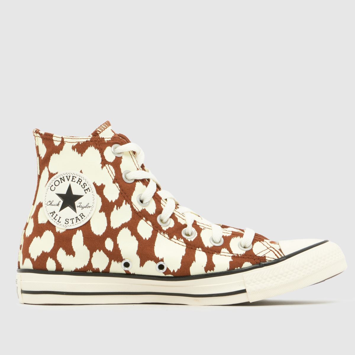 Converse All Star Hi Trainers in Print