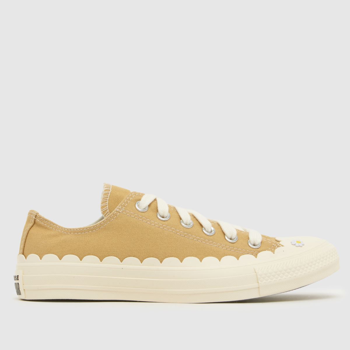 Converse All Star Ox Trainers in Beige