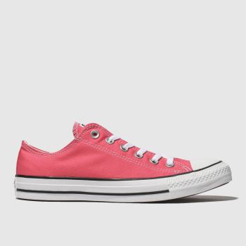 converse pink all star ox trainers converse pink all star ox trainers