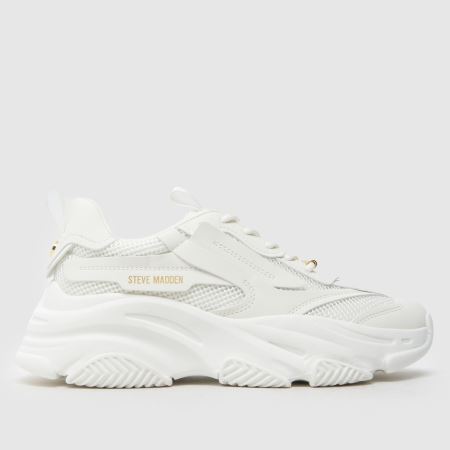Steve Madden possession 1