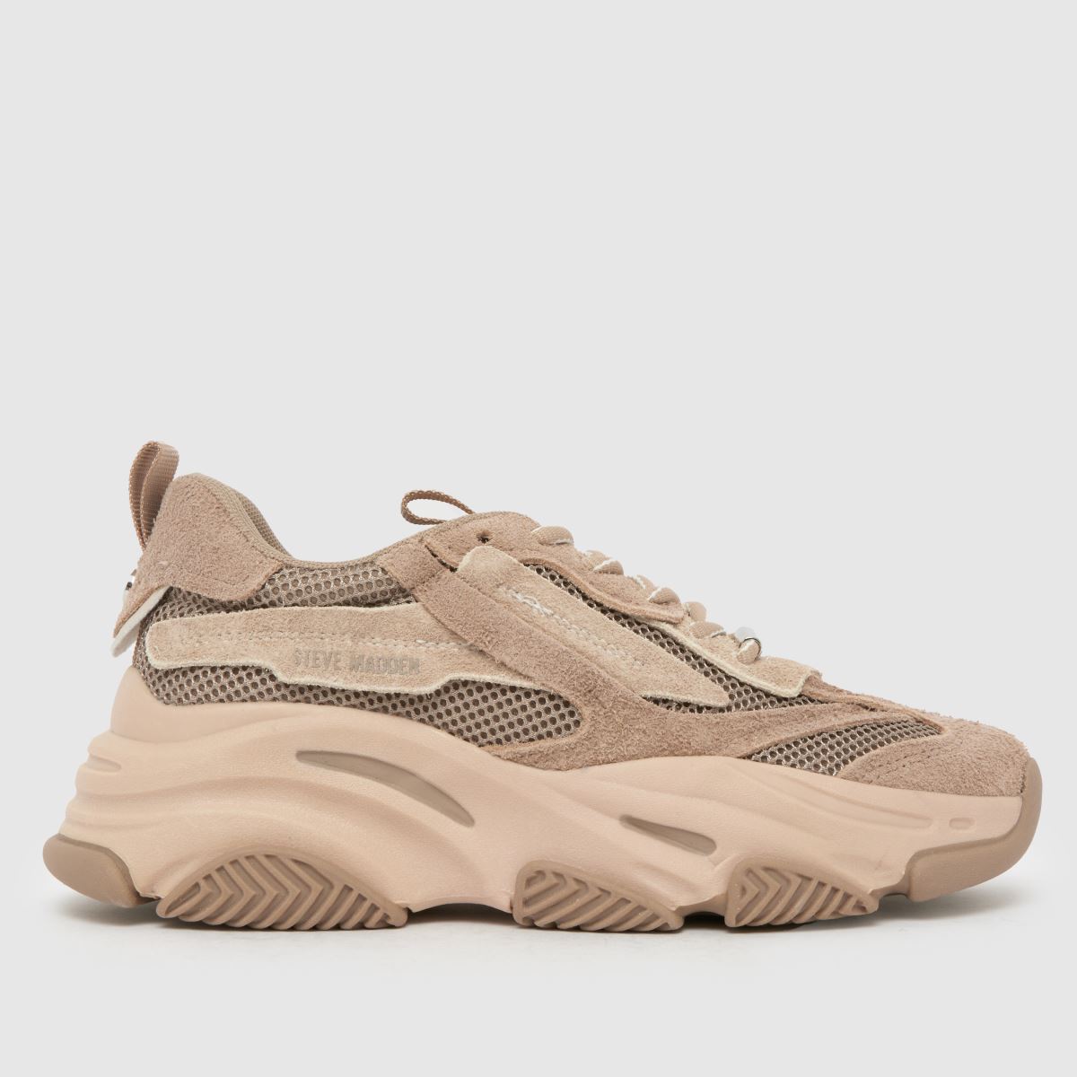 Steve Madden Possession Trainers in Taupe