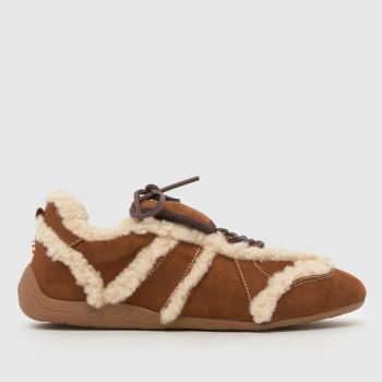Steve Madden Brown Freezone Womens Trainers