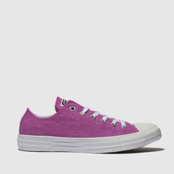 converse pink chuck taylor all star ox trainers converse pink chuck taylor all star ox trainers