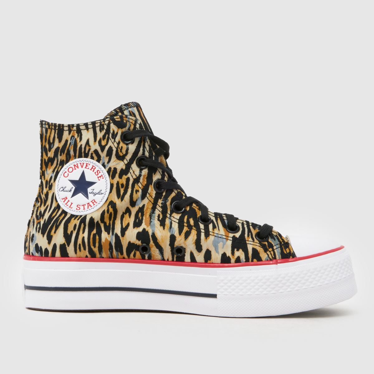 Converse All Star Lift Leopard Trainers in Print