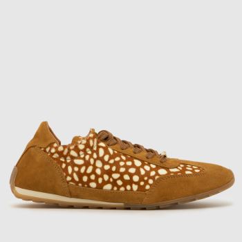Steve Madden Print Bobby Womens Trainers