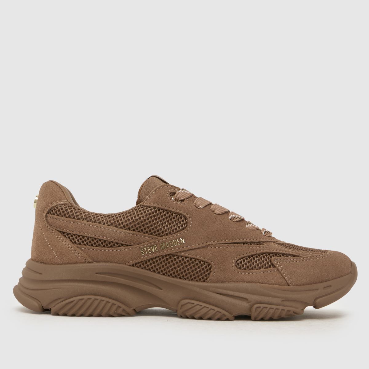 Steve Madden Front Row Trainers in Tan