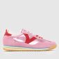 Pink Multi