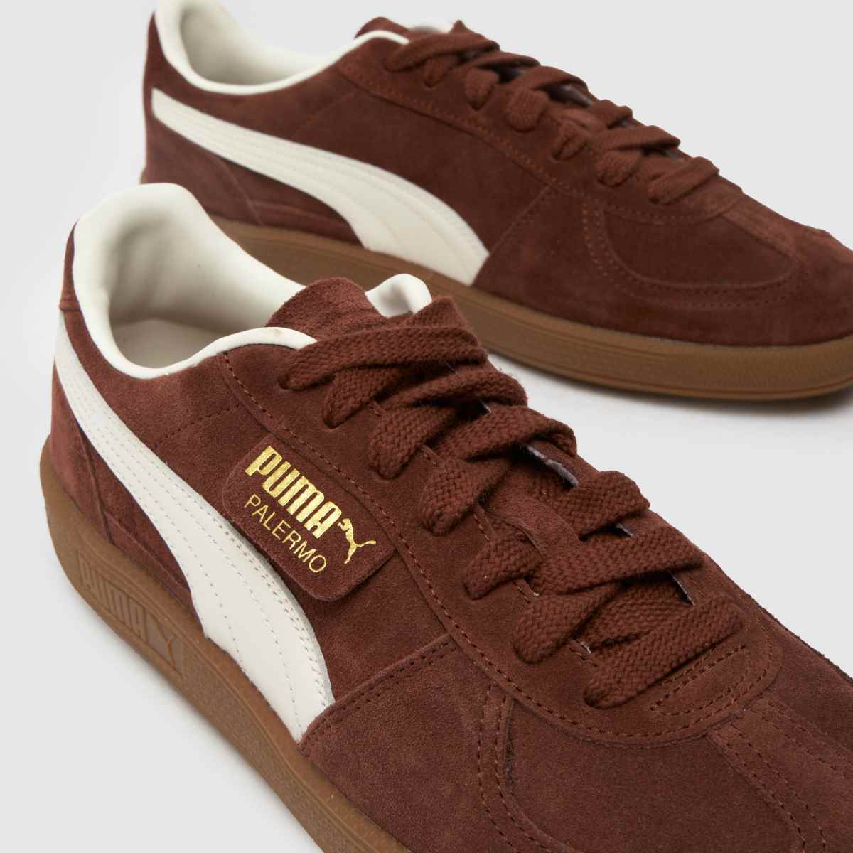 PUMA Palermo in Brown White