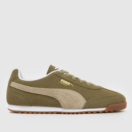 PUMA arizona 1