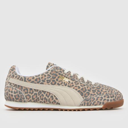 PUMA arizona 1