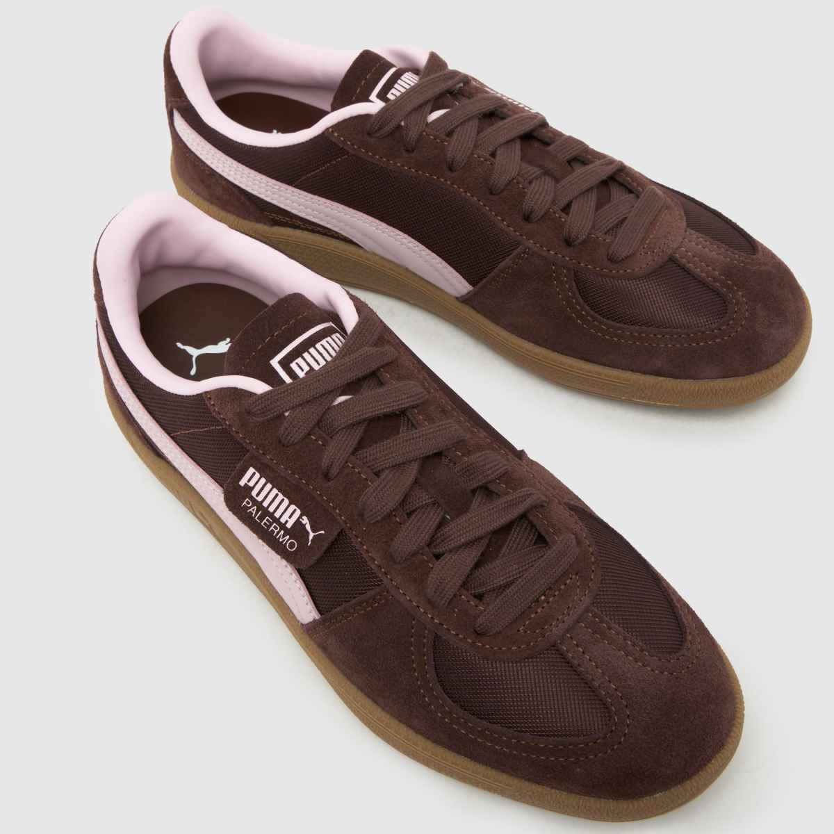 PUMA Palermo in Brown Multi PUMA Palermo 4