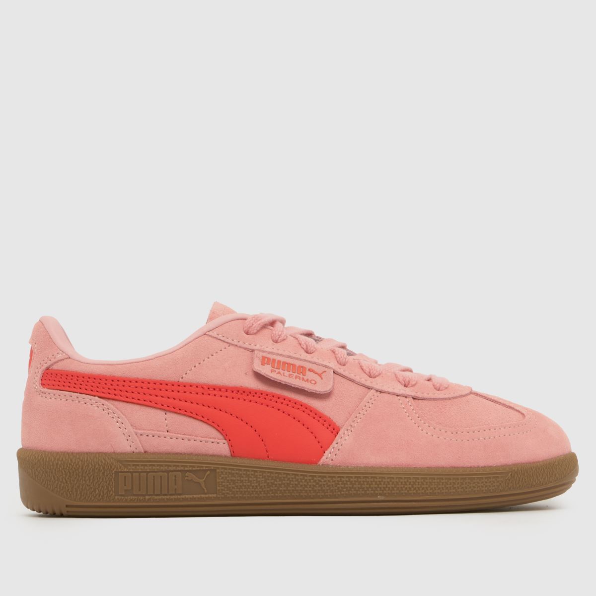 PUMA Palermo Trainers in Pink