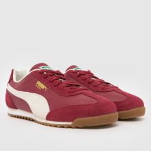 PUMA Arizona,2 of 4