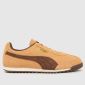 Beige & Brown