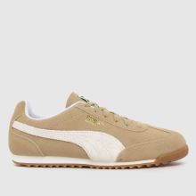 PUMA Arizona,1 of 4