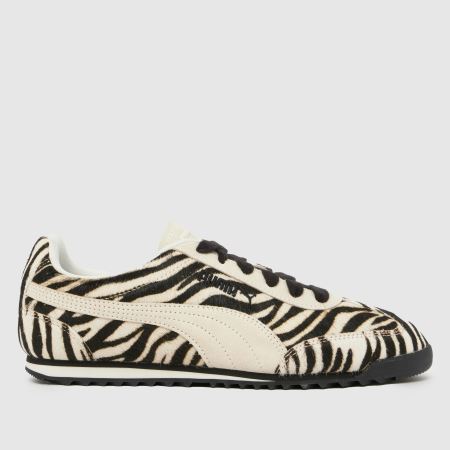 PUMA arizona 1