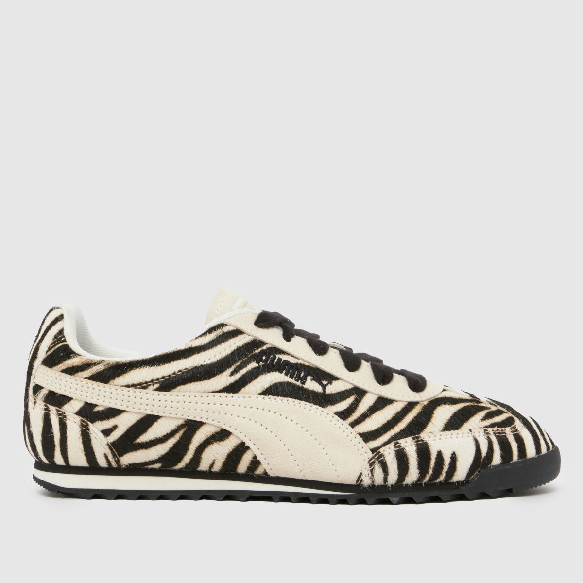 PUMA Arizona 