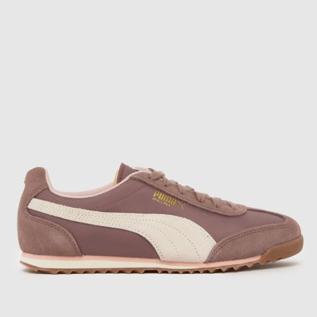 PUMA arizona 1