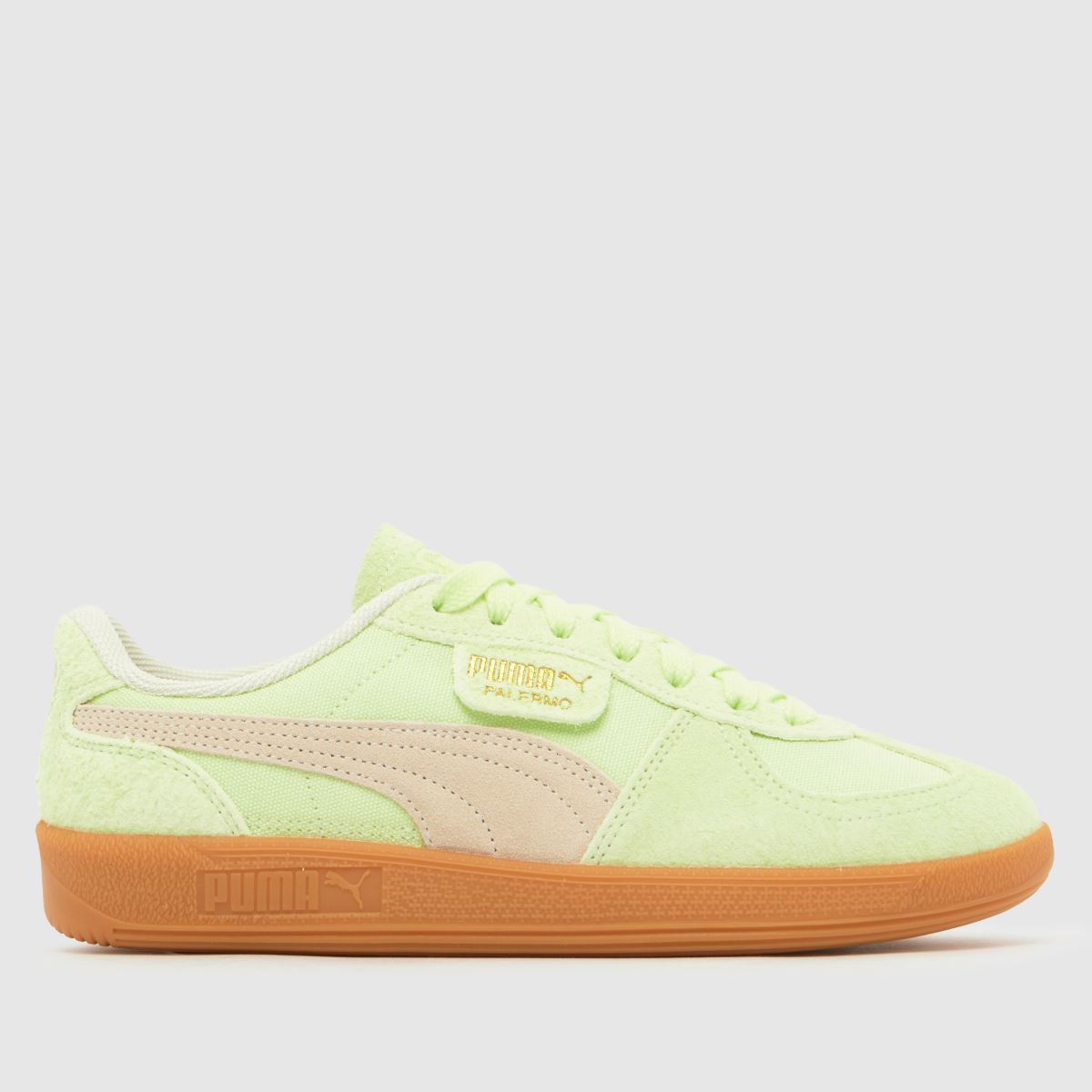 PUMA Palermo Trainers in Light Green