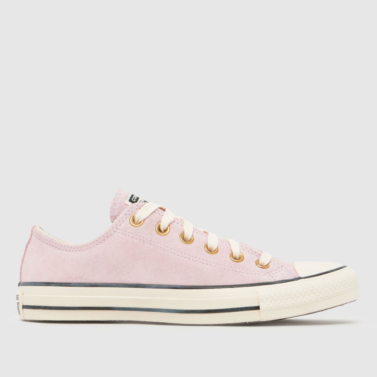 Converse All Star Ox Trainers in Pink