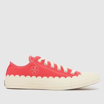 Converse Pink All Star Ox Womens Trainers