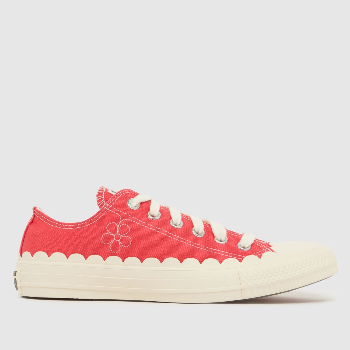 Converse All Star Ox Trainers in Pink
