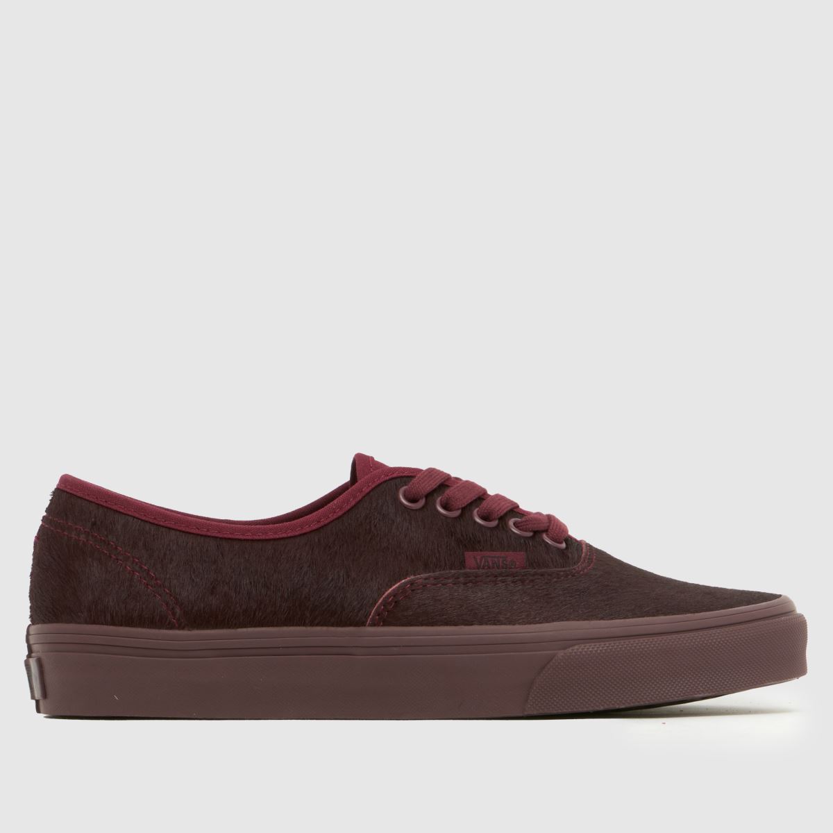 Vans Authentic Trainers in Burgundy