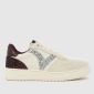 Beige Multi