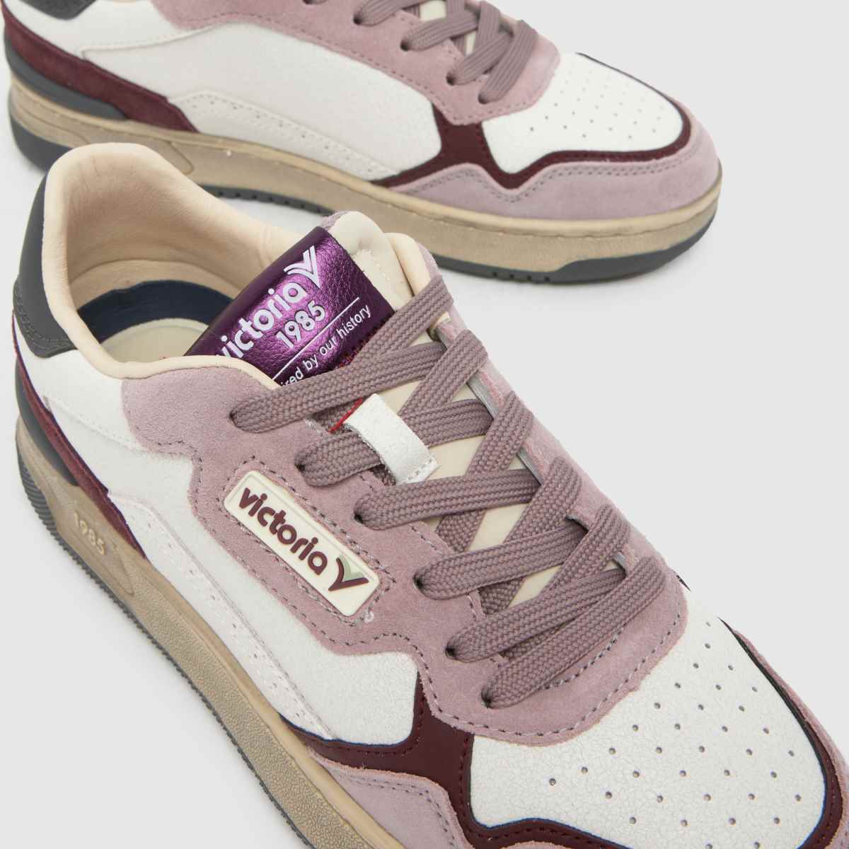 victoria C80 in Purple victoria C80 4