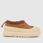 Chestnut