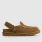 Chestnut