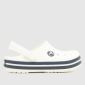 White & Navy