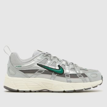 Nike Grey Multi P-6000 Junior