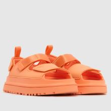 UGG Goldenglow,2 of 4