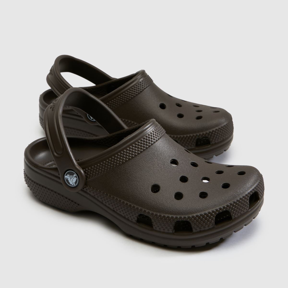 Crocs Classic Clog Youth in Dark Brown Crocs Classic Clog 4