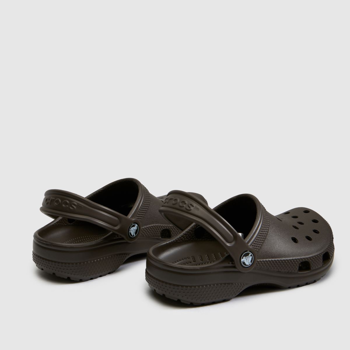 Crocs Classic Clog Youth in Dark Brown Crocs Classic Clog 7