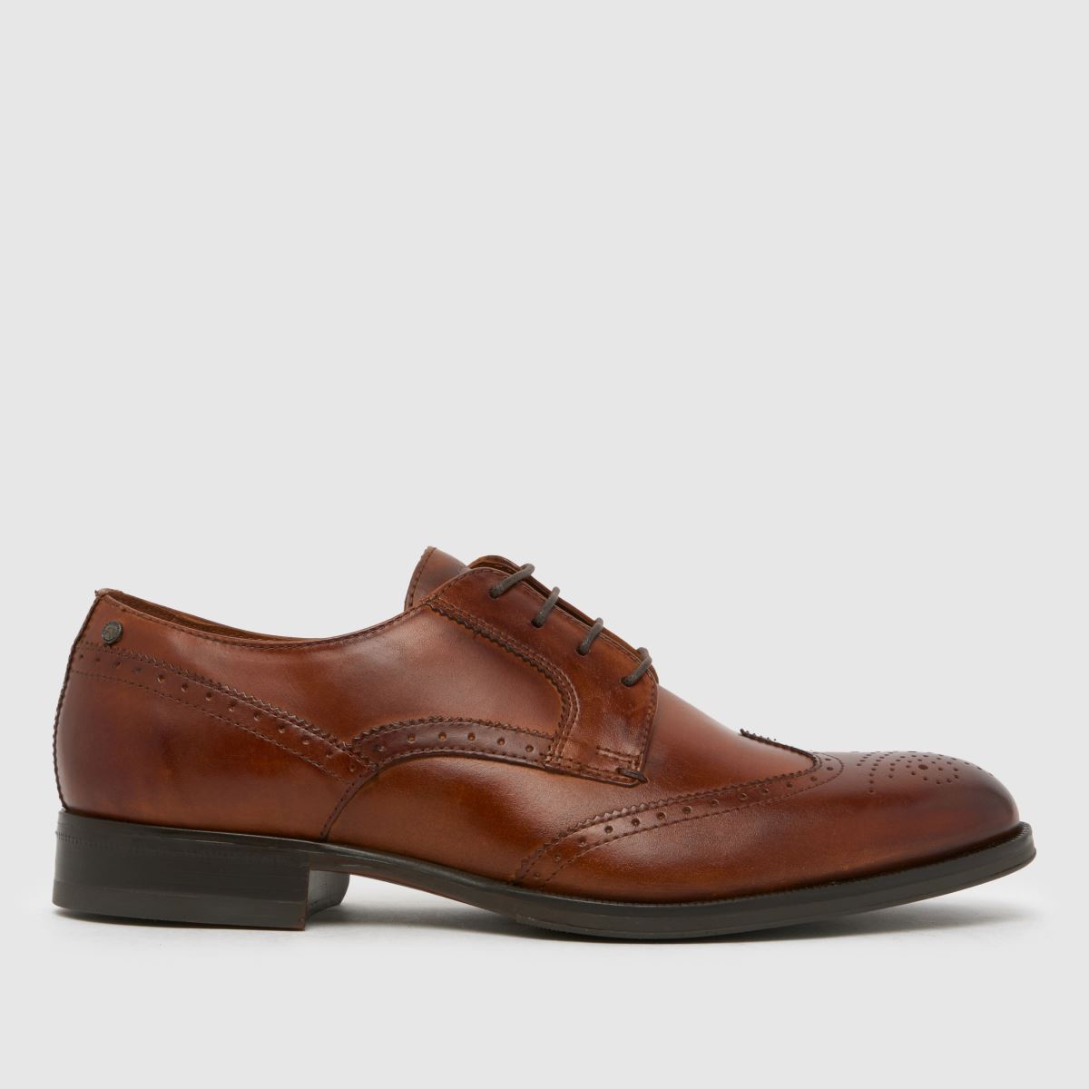 Base London Bell Brogue Shoes in Tan