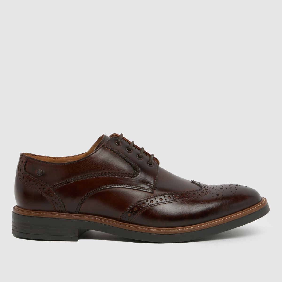 Base London York Brogue Shoes in Brown