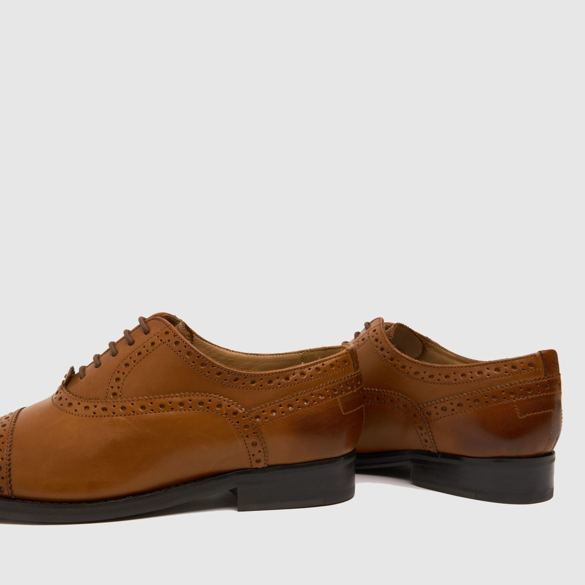 Mens Tan Ted Baker Arniie Shoes | schuh