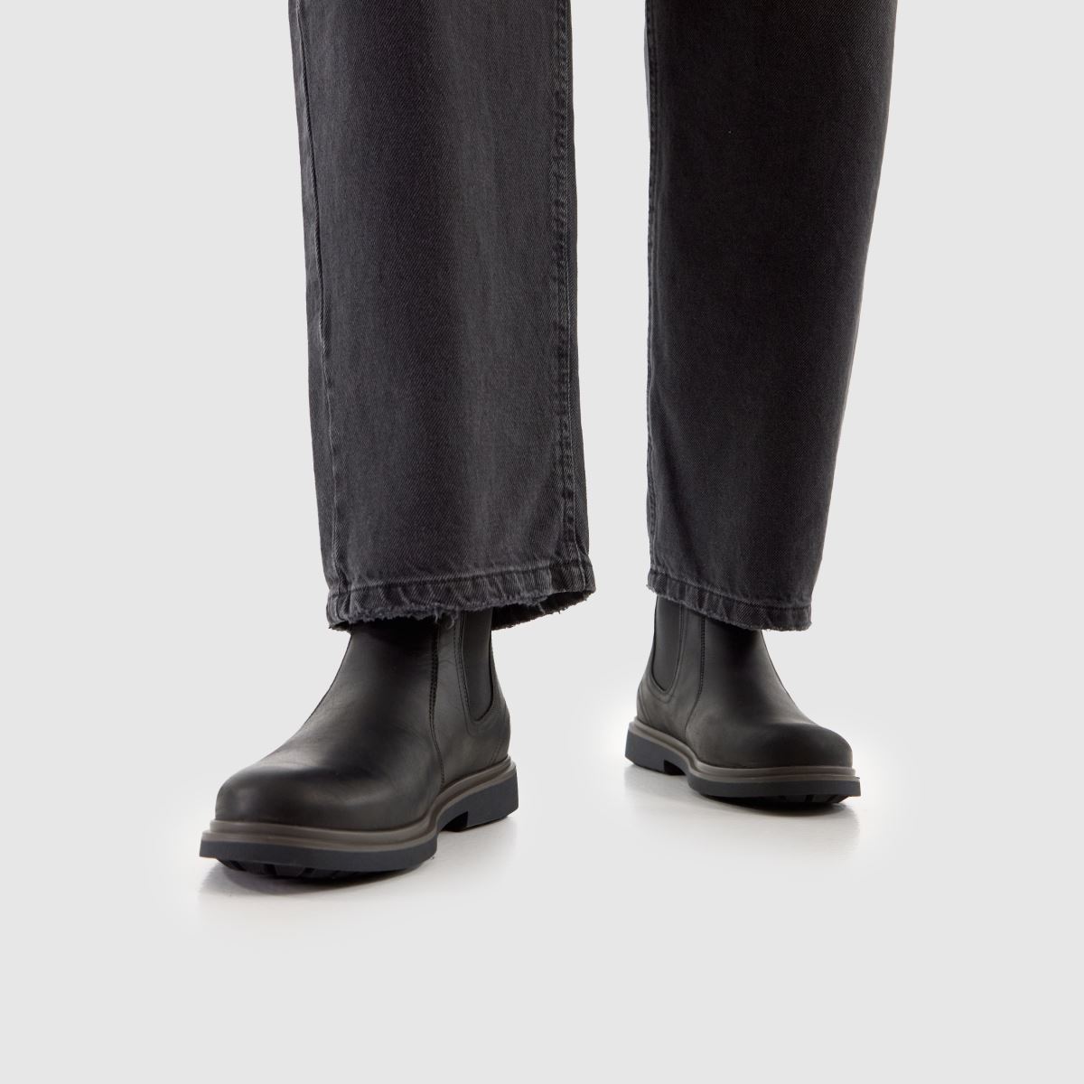 Barbour Hale Chelsea in Black Barbour Hale Chelsea 8