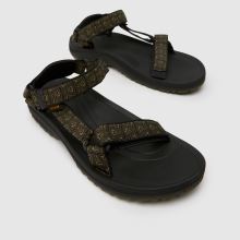 Teva Winsted,3 of 4
