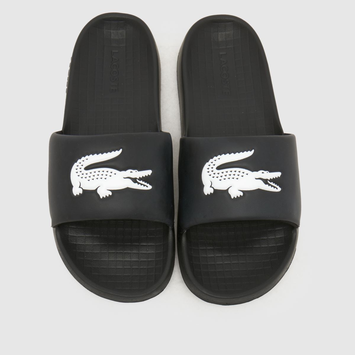 Lacoste Serve Slide Sandals in Black & White