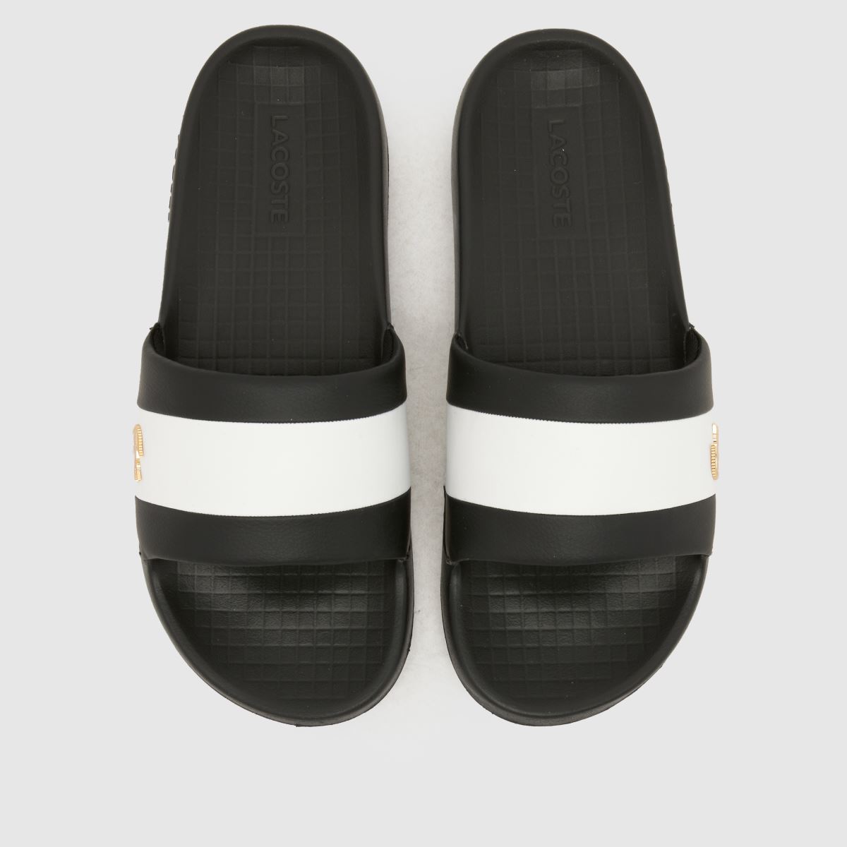Lacoste Serve Slide Sandals in Black & White