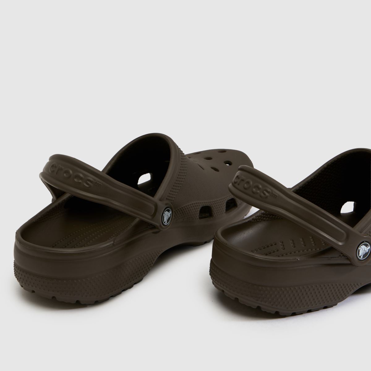 Crocs Classic Clog in Dark Brown Crocs Classic Clog 7